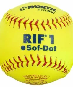 Worth SR10RYSA Fastpitch Softball